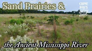 Sand Prairies & Remnants of the Ancient Mississippi River