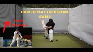 HOW TO PLAY THE REVERSE SWEEP  | Precise Cricket