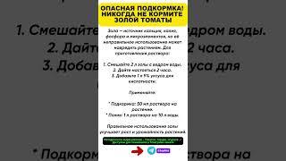 ОПАСНАЯ ПОДКОРМКА! НИКОГДА НЕ КОРМИТЕ ЗОЛОЙ ТОМАТЫ, если не знаете про этот способ.