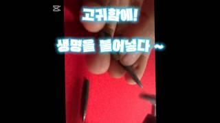 동곳을 세척해 보았습니다 ~ #금속탐지 #동곳 #카바도르