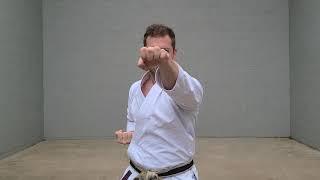 Karate Moves | RYUTE TSUKI - DRAGONS HEAD PUNCH