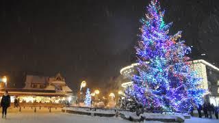 Christmas tree in snow in Zakopane, Poland