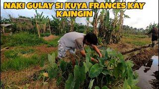 PANG KUNSUMONG GULAY NI  KUYA FRANCES