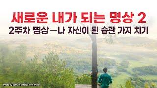 조 디스펜자의 "새로운 내가 되는 명상"( 2주차 명상 )    #브레이킹 #당신이라는습관을깨라 #새로운내가되는명상