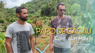 PAPO DE CACAU- VISITEI A LAVOURA  DE ALAN MAIA JOVEM EXEMPLO NA CULTURA CACAUEIRA