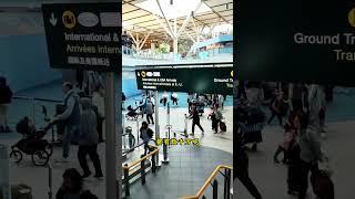 入境加拿大可以带多少钱？在入境的时候如实申报就可以#加拿大 #移民 #加拿大留学 #海外身份规划 #移民