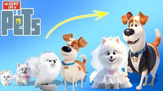 The Secret Life of Pets Growing Up Compilation | Cartoon Wow