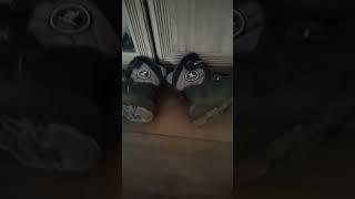 охотники за приключениями