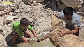 Hand in hand with nature: washing the sheep and reconciling with cleanliness and relatives