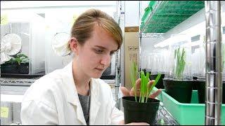 Texas Science Researchers Convert Plant Pests into Pals