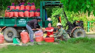 Use Truck To Buy Bamboo Shoots From Villagers - Pack Bamboo Shoot in Sacks Sell For Trader