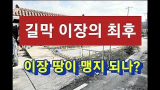 저 괴롭히던 이장 땅이 맹지가 되었습니다!