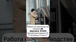 Работа в Европе #вакансии #работавевропе