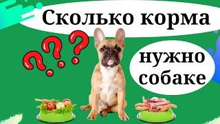 Сколько корма нужно собаке?