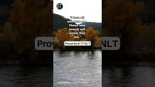 Seek Wisdom | Bible Verse | Proverbs 8:17 #godslove #godsword #knowledge