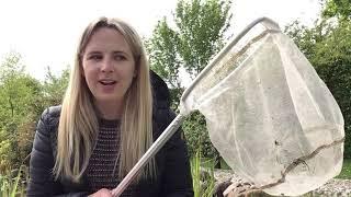 Nursery and ReceptIon Go Pond Dipping