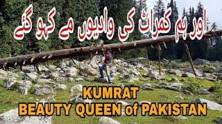 Kumrat Valley Tour 2019 |Adventure Tourist| |Beauty Queen PAKISTAN| |LIZARD of Kumrat| |Heaven|