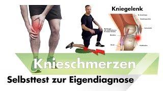 Knieschmerzen unter der Kniescheibe? | Patellaspitzensyndrom Selbsttest | jumpers knee