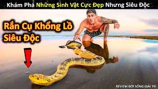 Khám Phá Những Sinh Vật Đại Dương Cực Đẹp Nhưng Siêu Độc Bằng Tay Trần || Review Giải Trí Đời Sống