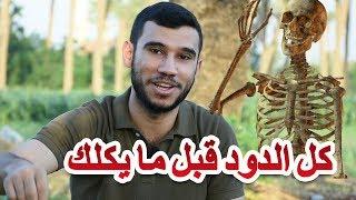 ماذا يحدث بعد الموت؟| علاقة الحشرات
