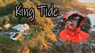 King Tide