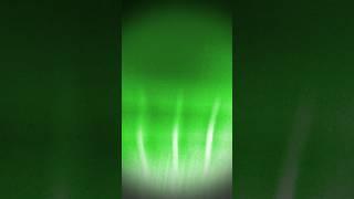 PiggyTheBiggy Reuploaded - I made the perfect loop #shorts