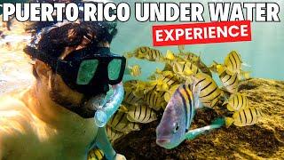 PUERTO RICO UNDERWATER EXPERIENCE | ROHAN VIRDI | HINDI VLOG