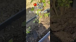  풍수지리설 진짜네;; #shorts