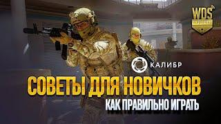 Калибр советы. Калибр советы для новичков #WDVStream #WoTDVStream  #Калибр  #советы