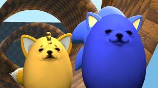 sonic the eggdog 2