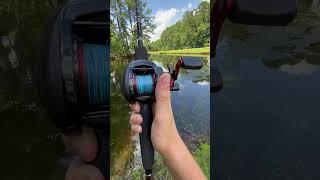 New abu Garcia black max combo