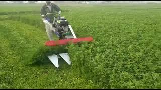 Berseem Reaper || Agro Power Machinery Store Lahore