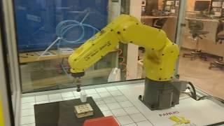 PLC controlled palletizing Fanuc Robot