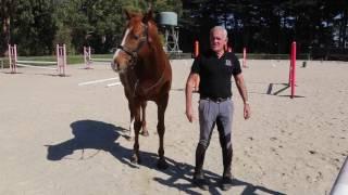 Why we don't train horse to follow our feet with Andrew McLean