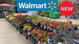 🪻 Walmart Garden Inventory May 2023 |  Perennials | Flower Shrubs | Flowering Trees | Annuals