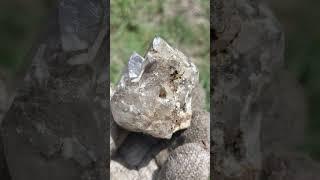 산세좋은 언양자수정!!언양탐사!! 연수정?보라빛 자수정?? #amethyst #crystal #gemstone #korea #quartz #smoky #light purple
