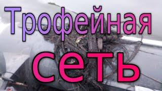 Первая щука жены! Достали сеть с трофеями!