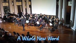 【期末成發】A Whole New World/Alan Menken&Naomi Scott 電影:阿拉丁 主題曲