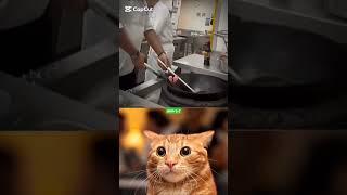 GIVE THIS VIDEO A TITLE Cat bombastic #funny #cat #catlover # popular # shorts