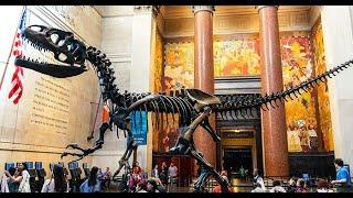 New York City Walking Tour (American Museum of Natural History) 2021