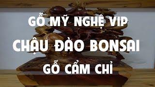 Chậu Đào Bonsai | Gỗ Cẩm Chỉ | Gỗ Mỹ Nghệ Vip