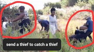 We had to use Stela & pretend to be farmers to catch Mama Shifuna.see what this young boy did to her