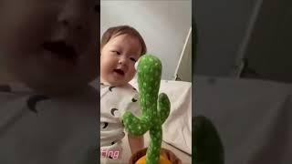 Dancing Cactus Toy Recording and Glowing Review 2021 | Dancing Cactus Plush Toy | Talking Toy |