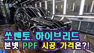 쏘렌토 하이브리드 본넷 PPF 시공가격은?!