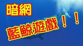 體驗《暗網》俄羅斯藍鯨遊戲，深入報導～  Russian Blue Whale Game~deep web