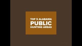 Top 5 Alabama Public Hunting Areas