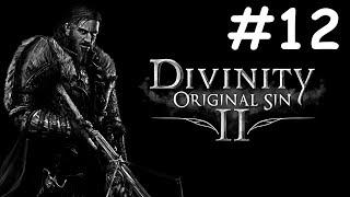 divinity original sin 2 прохождение # спасение корабля [12]