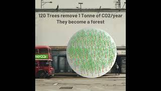 1 person = 1 tonne of CO2 - What you can do to help !