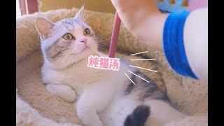 以为猫咪听不懂人话，主人假装说要炖猫汤，听懂的全都吓跑了