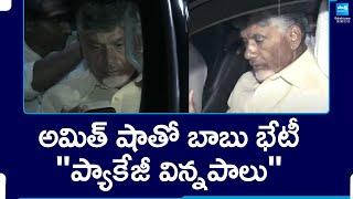 Chandrababu Naidu Delhi Tour Updates, Nirmala Sitharaman | Amit Shah | AP News | @SakshiTV